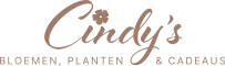 Cindys